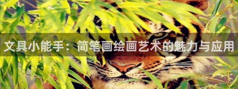 天顺娱乐登陆网址：文具小能手：简笔画绘画