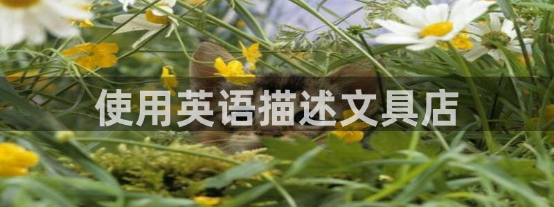 天顺娱乐开户流程：使用英语描述文具店