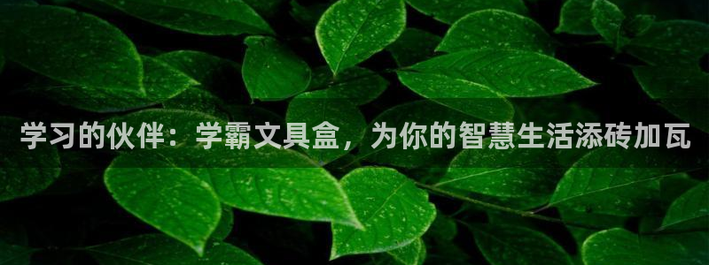天顺娱乐负责人瓦情pg58856：学习的