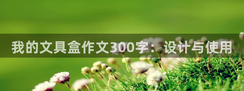 天顺娱乐嘿72182：我的文具盒作文30
