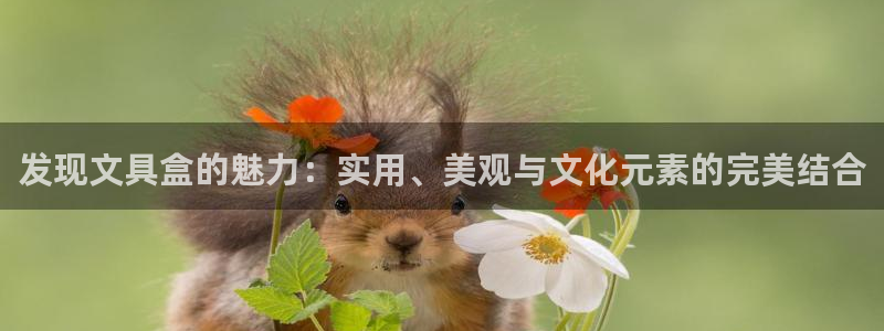 天顺娱乐挂机：发现文具盒的魅力：实用、美